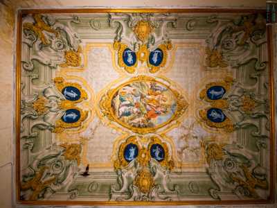 Nel riquadro centrale Mercurio e Apollo siedono sul monte Parnaso, in basso invece la musa Calliope regge tre libri: l�Iliade, l�Odissea e l�Eneide